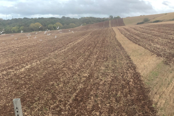 sumoing agricultural contractor nottingham